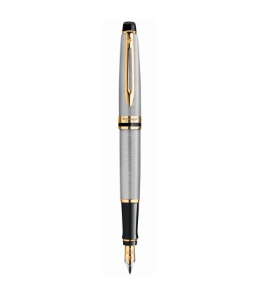 Waterman Expert stylo plume | acier inoxydable avec attributs dorés | plume fine | coffret cadeau