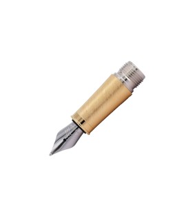 Nib Section for PARKER IM Fountain Pen, Gold Trims - Medium steel nib