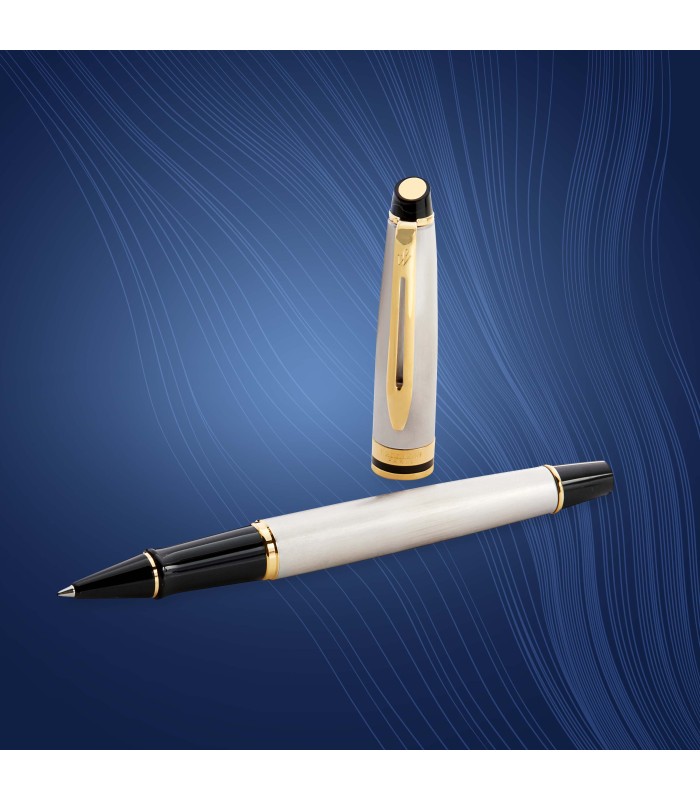 Waterman Expert Rollerball Pen | Stainless Steel with 23k Gold Trim | Fine Point | Black Ink | Gift Box